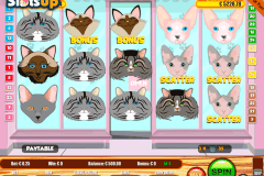 Cats (Portomaso Gaming)