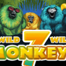 7 Monkeys