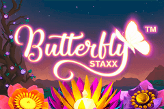 Butterfly Staxx