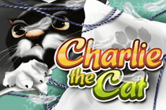 Charlie the Cat