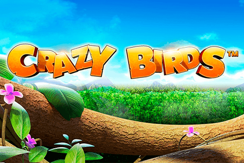 Crazy Birds