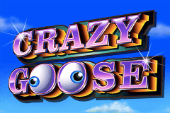 Crazy Goose