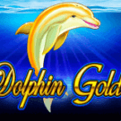 Dolphin Gold