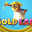 Gold Lab