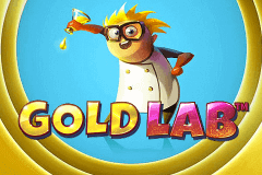 Gold Lab