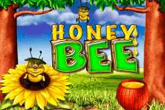 Honey Bee