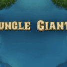 Jungle Giants