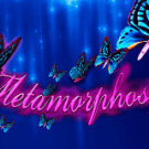 Metamorphosis