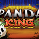 Panda King