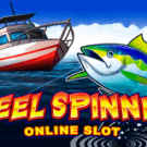 Reel Spinner