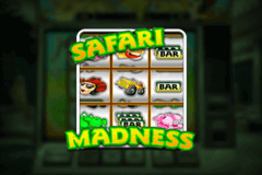 Safari Madness