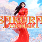 Sakura Fortune