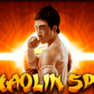 Shaolin Spin