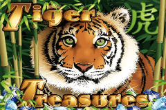 Tiger Treasures (RTG)