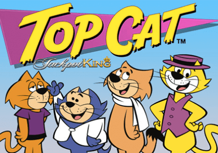 Top Cat