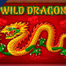 Wild Dragon