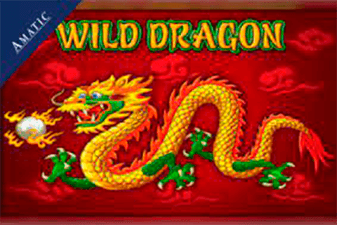 Wild Dragon