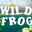 Wild Frog