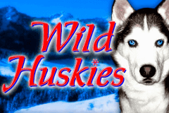 Wild Huskies