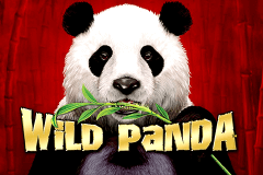 Wild Panda