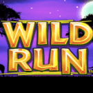 Wild Run