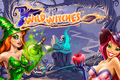 Wild Witches