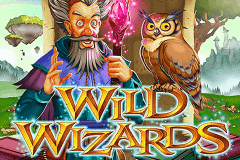 Wild Wizards (RTG)