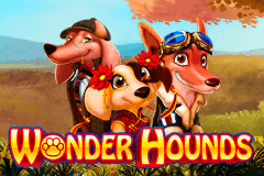 Wonder Hounds