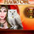 Magic Owl