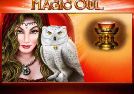 Magic Owl