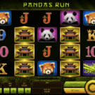 Pandas Run