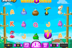 Wired Birds